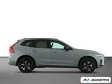 Volvo XC60 T8 AWD Plus Black Edition Plug-In Hybrid - Volvo XC60 Neuwagen in Bielefeld