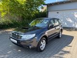 Subaru Forester Trend 30 Jahre Klima AHK Alus TÜV Neu - Subaru Forester: Trend