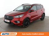 Ford Kuga 2.0 EcoBoost ST-Line Aut.*NAVI*XENON*ACC* - Ford Kuga mit Benzin-Antrieb: Automatik