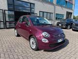Fiat 500 1.0 Hybrid Lounge - mit Hybrid-Antrieb: Violett, Kleinwagen