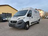 Fiat Ducato Grossr.-Kasten 35 130 L4H2 RS: 4035 mm - Fiat Ducato: L4h3