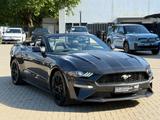 Ford Mustang GT Convertible FIFTY FIVE YEARS - Ford Mustang: Cabrio