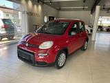 Fiat Panda 1.0 GSE Hybrid (312) - Fiat Panda 312