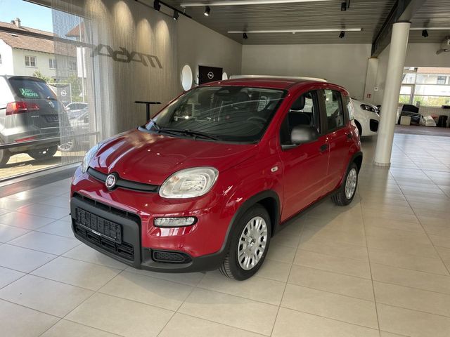 Panda 1.0 GSE Hybrid (312)