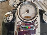 Harley-Davidson Dyna Wide Glide  - HARLEY-DAVIDSON DYNA WIDE GLIDE