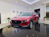 Mazda CX-30 Selection 2WD, RF-Kamera, GJR, Head-up Dis - Mazda CX-30 in Hannover