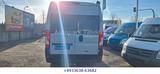 Challenger Vans V210 Premium/1 Hand/ - Challenger Diesel Integrierter