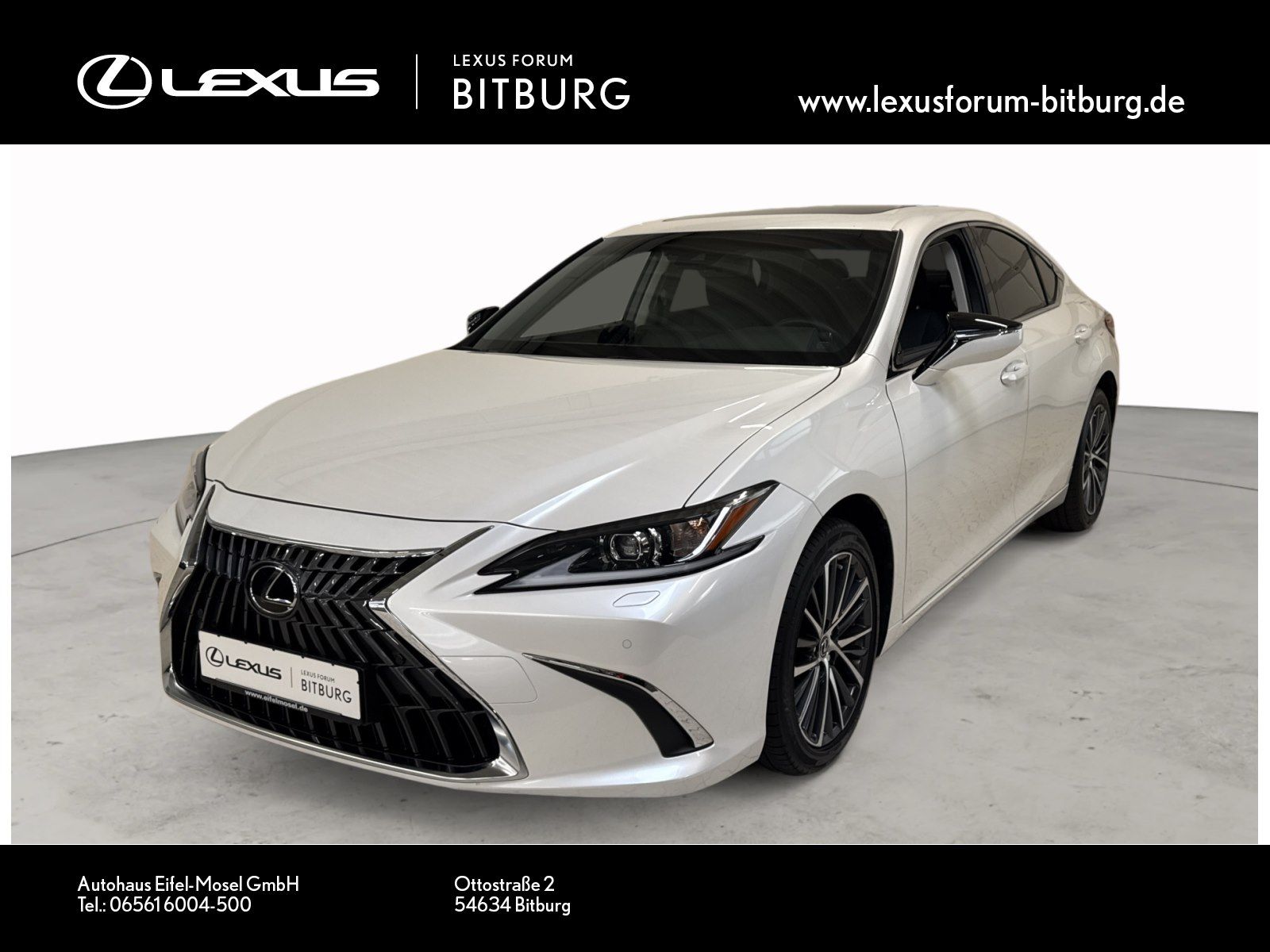 2025 Lexus ES300