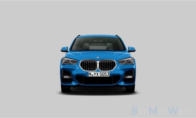 BMW X1 xD18 d M Sport SAG HiFi LED Parkass M Lenkung