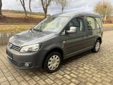 Volkswagen Caddy 1.2 TSI  Roncalli Steuerkette Neu - Volkswagen Caddy aus 2011: Roncalli