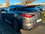 Alfa Romeo Stelvio Veloce Q4 - Alfa Romeo aus 2020
