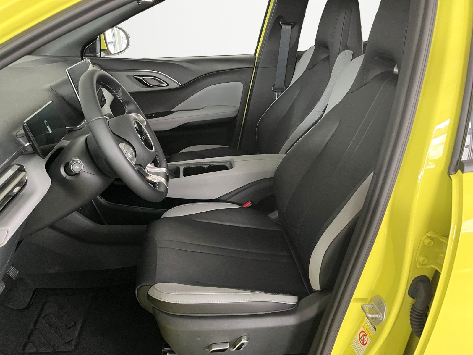 BYD DOLPHIN SURF