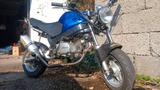 Skyteam  PBR 125 - Arrow, Rasten, SB-Lenker eingetragen - SKYTEAM MOTORRAD