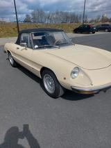 Alfa Romeo Spider 2000 - aus 1976: Cabrio