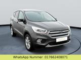 Ford Kuga Trend - Ford Kuga: Trend