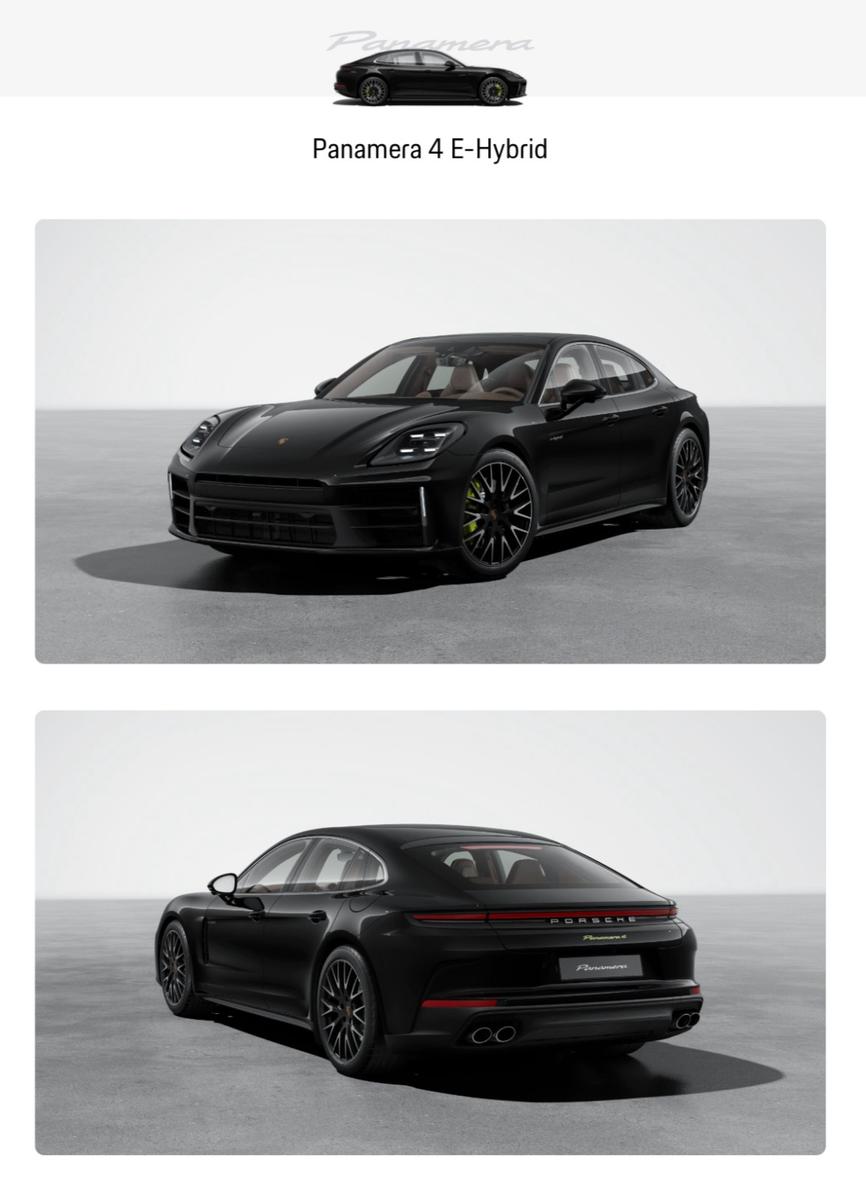 Porsche Panamera 4 E-Hybr. Hinterachs/Beifahrerdisp/VOLL