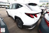 Hyundai TUCSON 1.6 HEV 215 DCT LED Nav Kam PDC Keyl L... - Hyundai TUCSON Gebrauchtwagen in Stuttgart