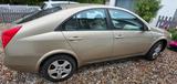 Nissan Primera (Limousine) Tekna aus 05/2003 - Nissan Primera: 20