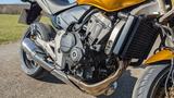 Honda Hornet 600 (CB600A7) mit ABS - HONDA CB HORNET