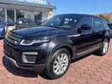 Land Rover Range Rover Evoque Pure KAMERA SZHZ NAVI TEMP - Land Rover Range Rover Evoque in Wiesbaden