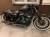 Harley-Davidson Sportster 883 Iron - HARLEY-DAVIDSON 883 SPORTSTER