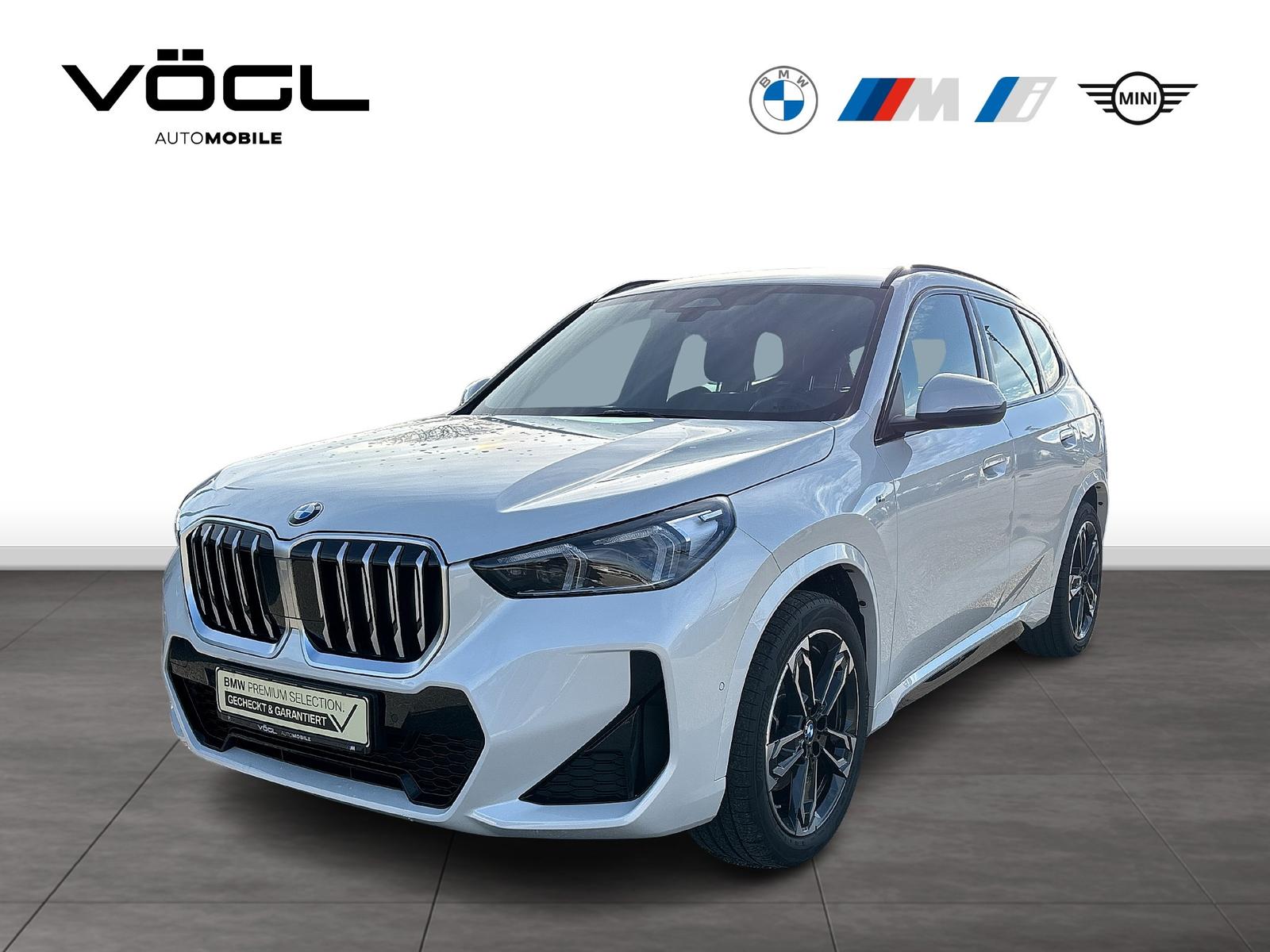 BMW X1 sDrive20i M Sportpaket HK HiFi DAB LED Shz