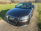 Audi A3 Cabriolet Attraction erst 69.000km - Audi A3 aus 2010: Cabrio