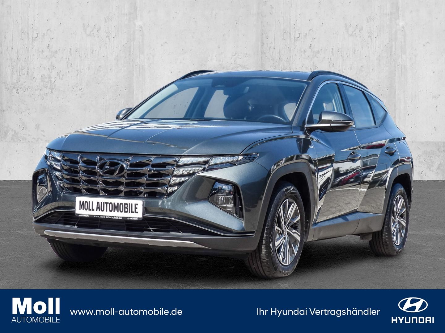 Hyundai Tucson Select Mild-Hybrid 2WD Navi Digitales Coc