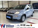 Fiat Panda Base *Bluetooth *Klimaanlage - gebrauchte Fiat Panda aus dem Jahr 2023