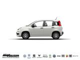 Fiat Panda MY25 Hybrid 1.0 GSE JULI CITY-PAKET TEMPOM - Fiat Panda New cars mit Benzin-Antrieb: Kleinwagen