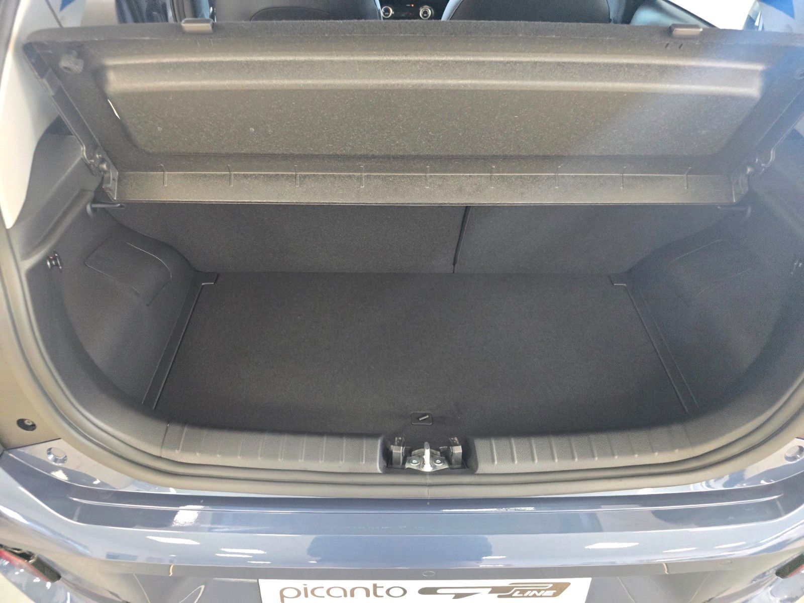 Fahrzeugabbildung Kia PICANTO PE2 1.0 GDI AMT GT-LINE