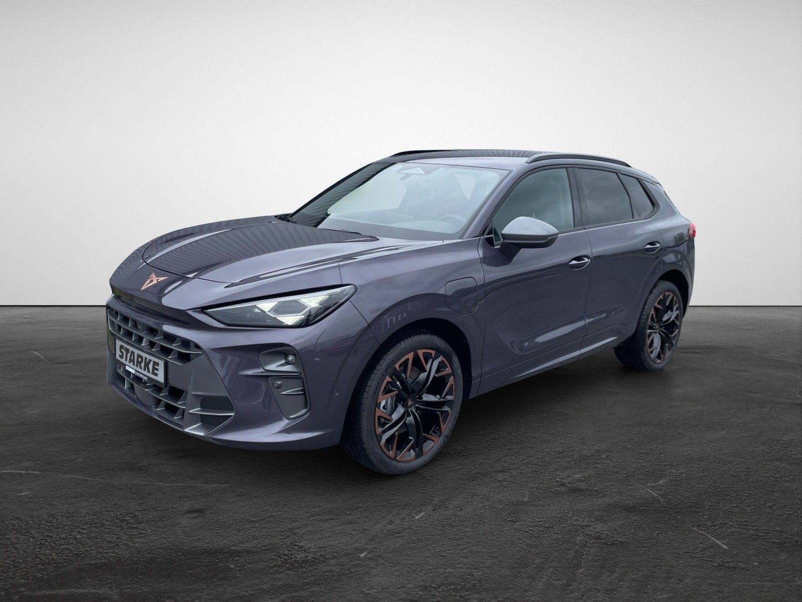 Cupra Terramar 1.5 e-Hybrid DSG  HeadUp Navi LED Kamer imagem 3