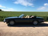 Jaguar XJS - Jaguar XJS von privat