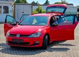 Volkswagen Golf VII Variant Comfortline Bluemotion