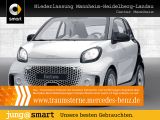 Smart fortwo EQ/22kW/SHZ/Tempo/Cool&Audio-Paket/1.Hand - Smart ForTwo in Ludwigshafen