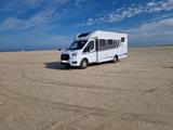 Carado T447 ED24