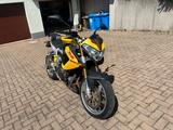 Benelli 1130 TNT Tornado - Offers