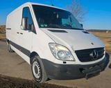 Mercedes-Benz Mercedes Sprinter 313CDI AHK Xenon - Mercedes-Benz Sprinter aus 2007: Van