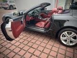 Mercedes-Benz SL 350 AIRSCARFE PANORAMADACH - Mercedes-Benz SL 350 mit Benzin-Antrieb