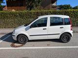 Fiat Panda 169  - Fiat Panda 169