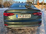 Audi A5 3.0 TDI S tronic quattro Sportb. design d... - Audi A5 design