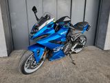 Suzuki GSX 8 R inkl. Umbau ( Heck, Blinker ) - Angebote entsprechen deinen Suchkriterien
