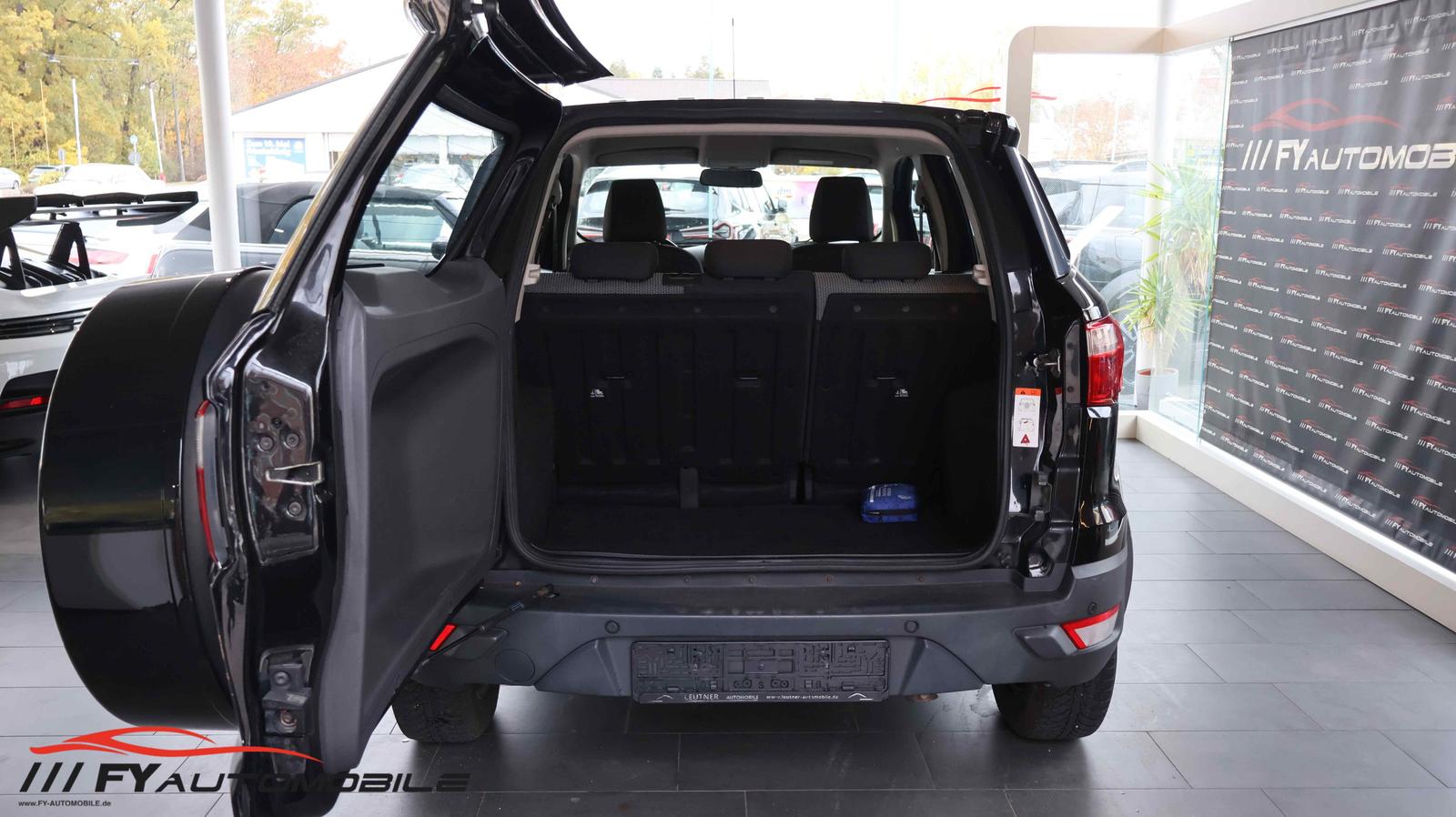 Ford EcoSport 2015 — photo 5