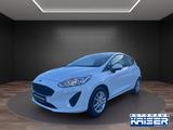 Ford Fiesta Trend  Klima TÜV*Inspektion frisch - Ford Fiesta: Fr
