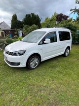 Volkswagen Caddy 1,2TSI 77kW Maxi Team Edition 7-Sitzer... - Volkswagen Caddy: Maxi Team