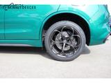 Alfa Romeo Stelvio Quadrifoglio V6 Bi-turbo TechnikP. Sport - Alfa Romeo: Sport