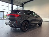 Cupra Terramar - Vorschau Bild 4