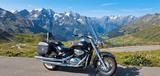 Suzuki Volusia VL800 mit 2 Kofferseitentaschen - SUZUKI M 800