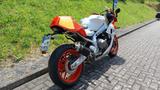 Yamaha XSR900 GP 3 Jahre Garantie; Zubehör; Akra - YAMAHA XSR 900