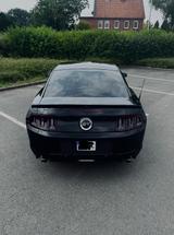 Ford Mustang GT 5.0 V8 | Schalter | US-Import |  - Ford Mustang: I
